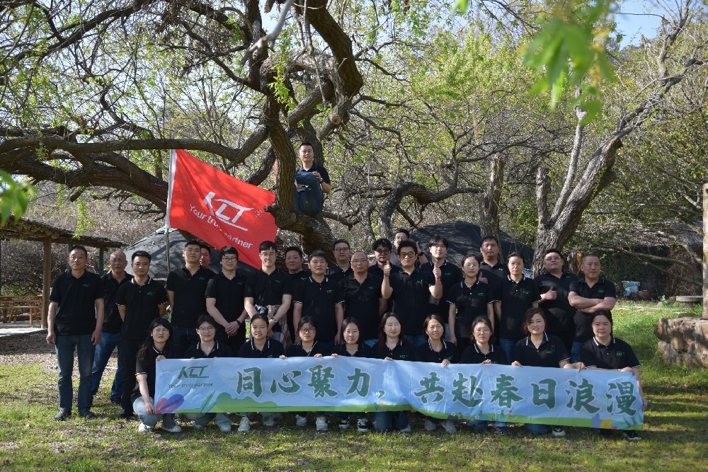 同心聚力，共赴春日浪漫